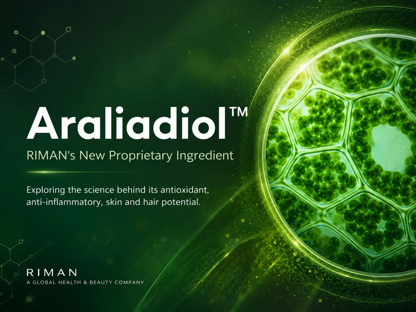 What Is Araliadiol™?